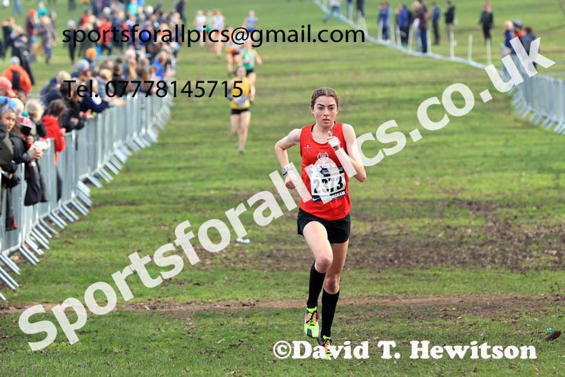 Womens Under-20s, 2024 CAU Inter Counties Cross Country Champs., Wollaton Park, Nottingham. Photo: David T. Hewitson/Sports for All Pics
